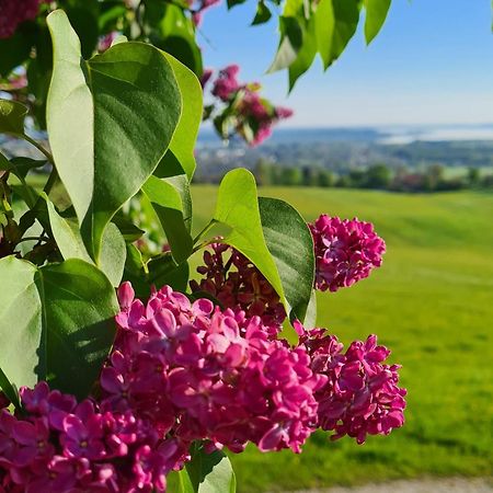 Schleipfnerhof Urlaub Auf Dem Bauernhof Villa Bernau am Chiemsee Eksteriør bilde